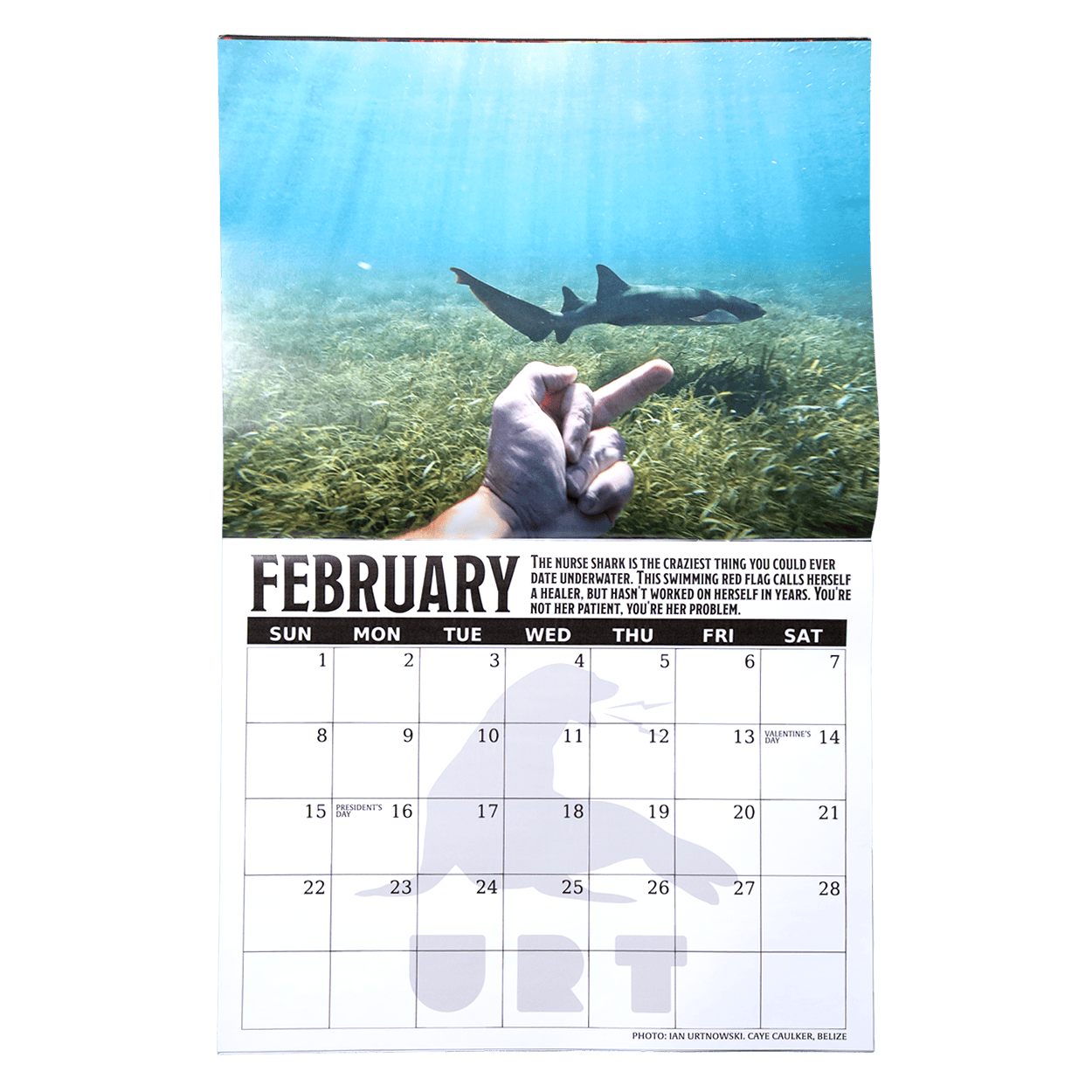 2026 Fish Sticks Wall Calendar