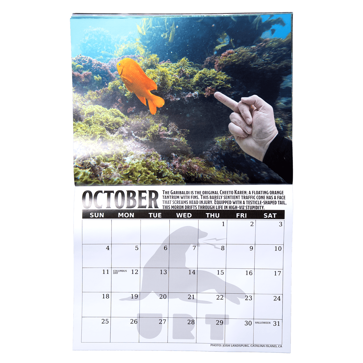 2026 Fish Sticks Wall Calendar