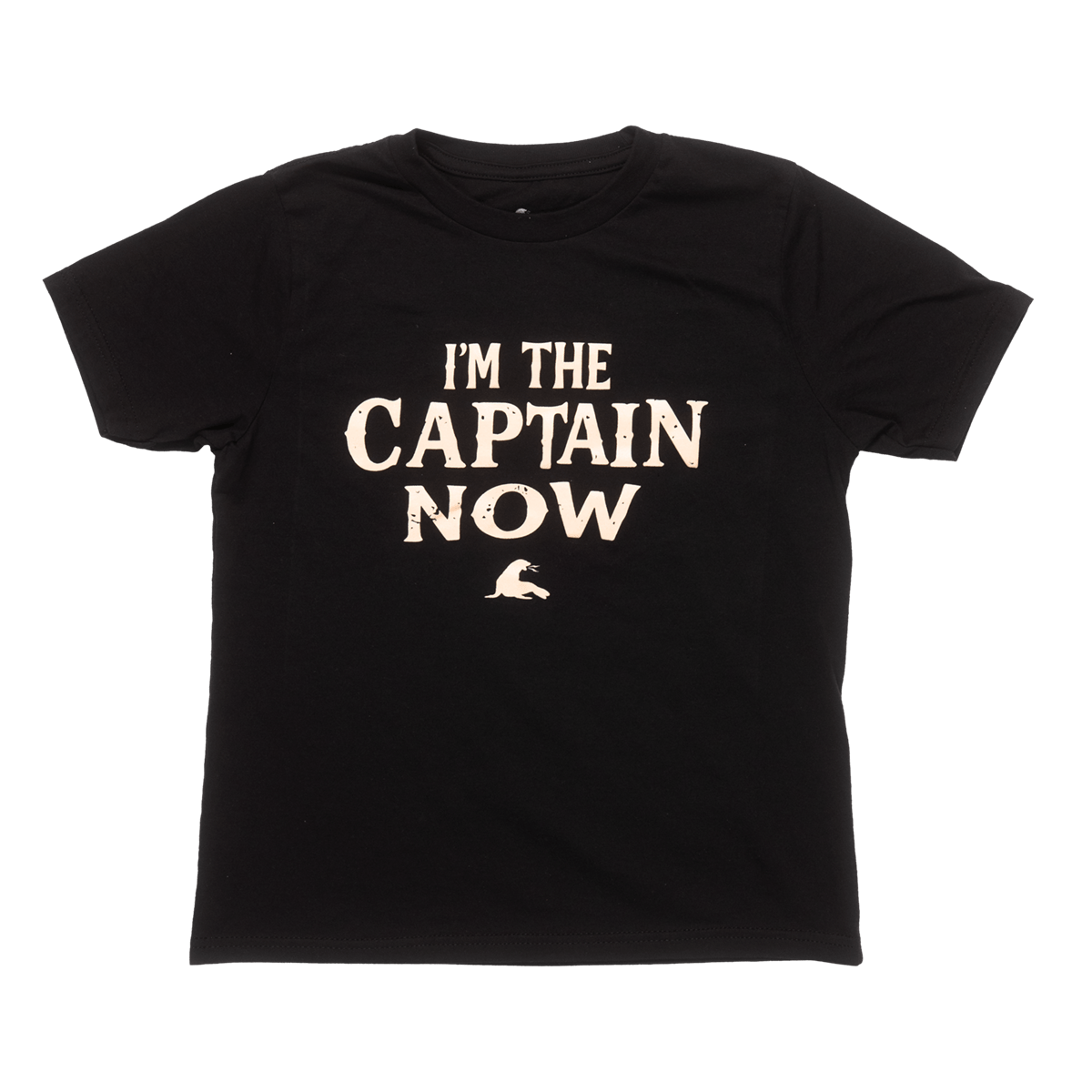 I&#39;m the Captain Now