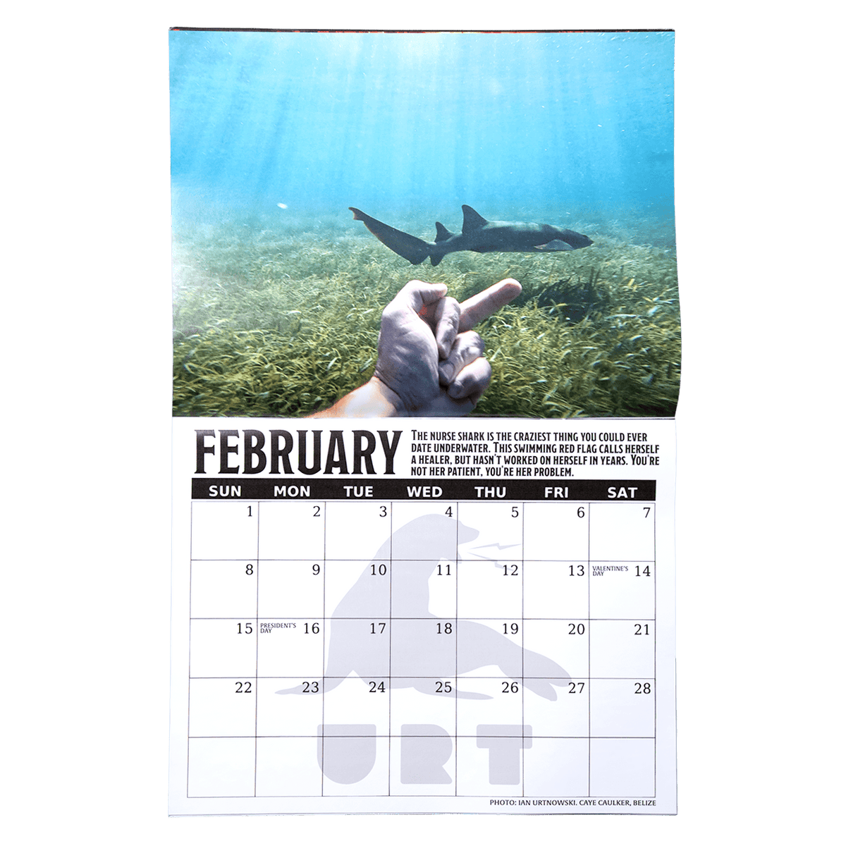 2026 Fish Sticks Wall Calendar
