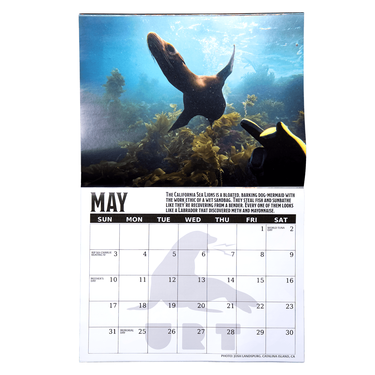 2026 Fish Sticks Wall Calendar