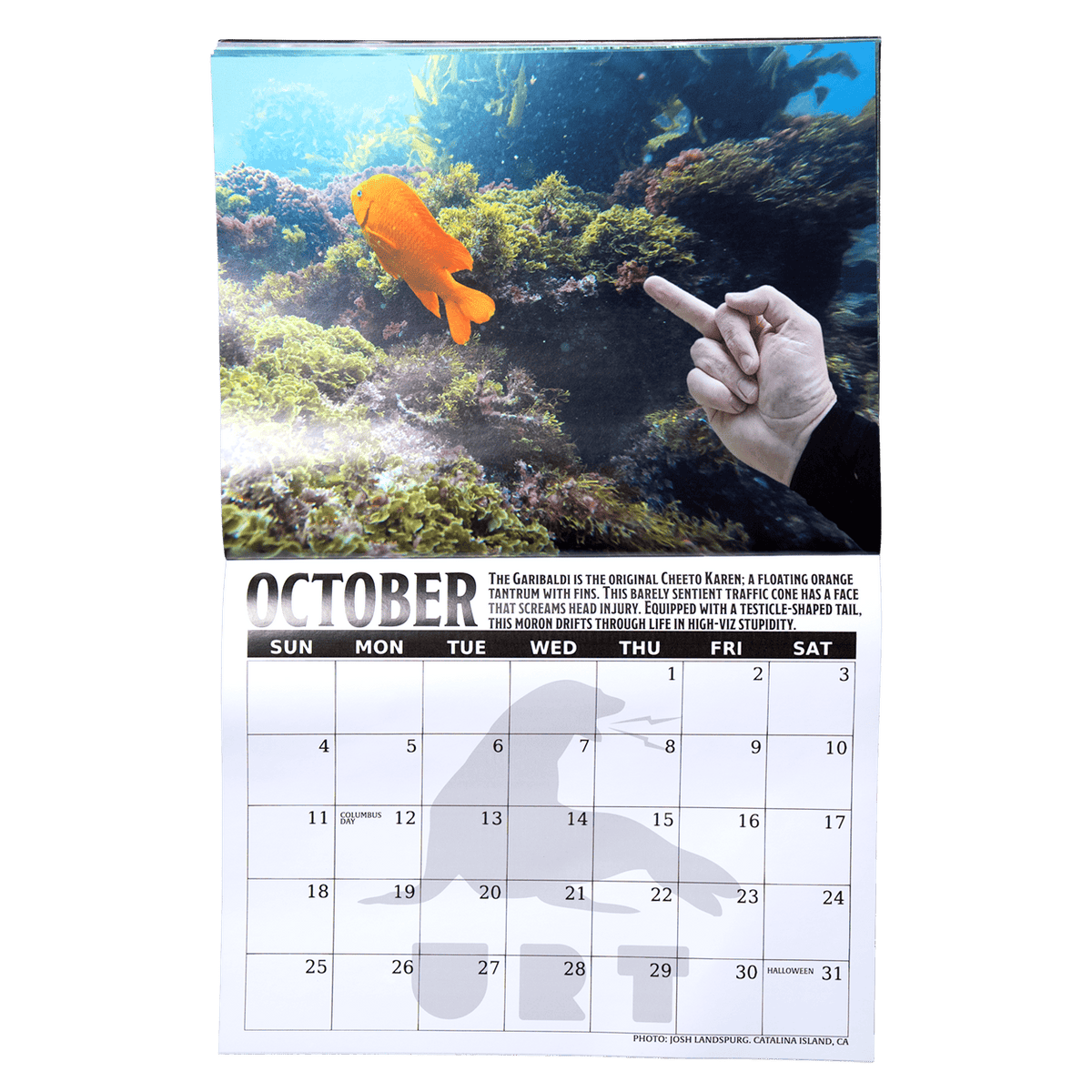 2026 Fish Sticks Wall Calendar