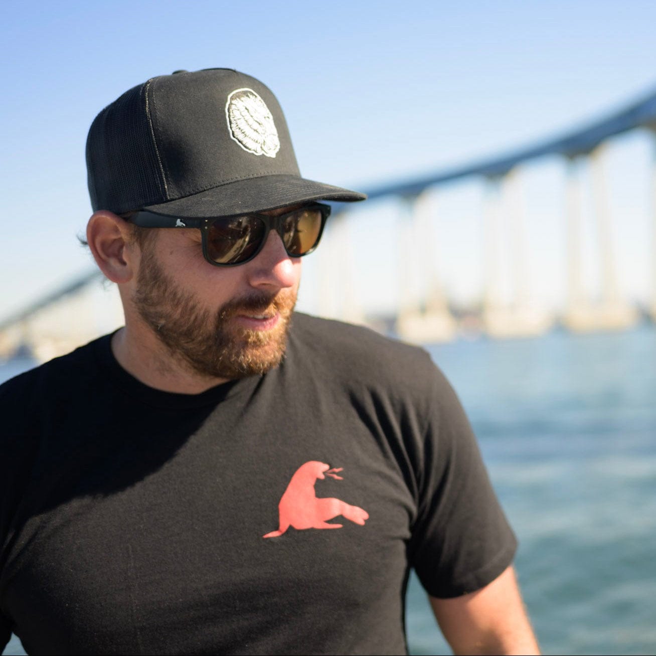 See Monster Polarized Shades // Matte Black