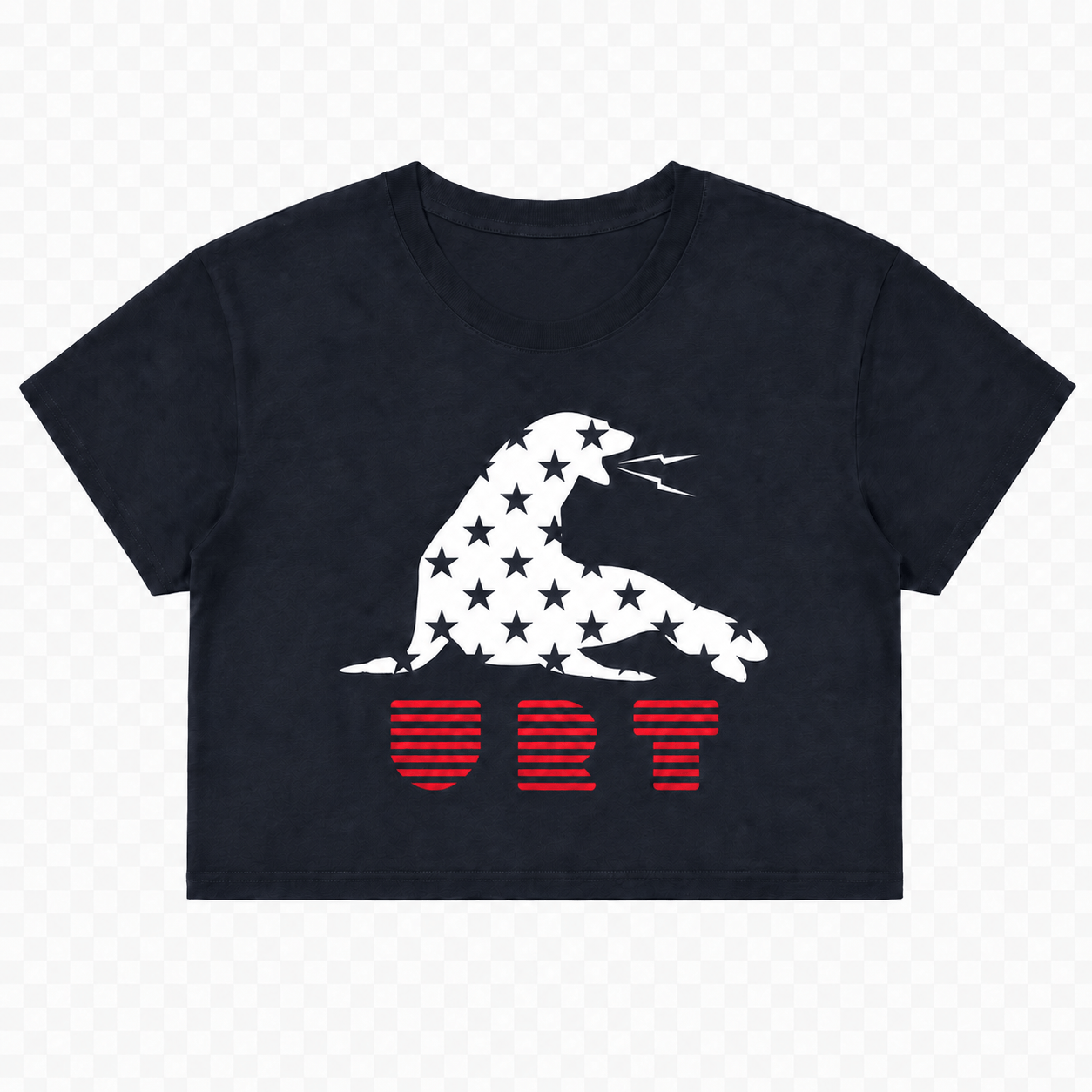 Women's Stars and Bars Crop Top
